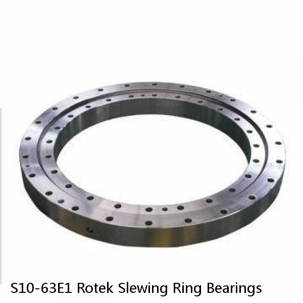 S10-63E1 Rotek Slewing Ring Bearings