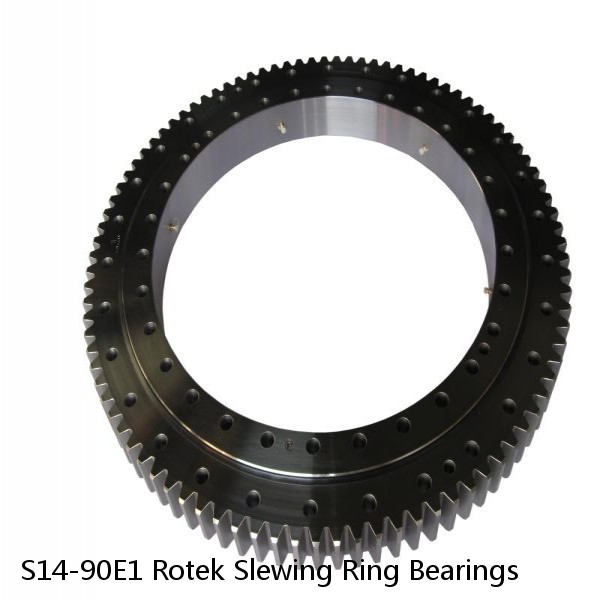 S14-90E1 Rotek Slewing Ring Bearings