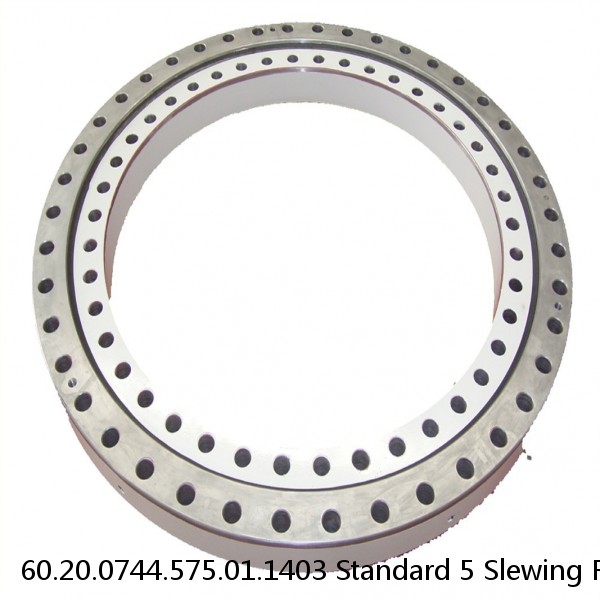 60.20.0744.575.01.1403 Standard 5 Slewing Ring Bearings