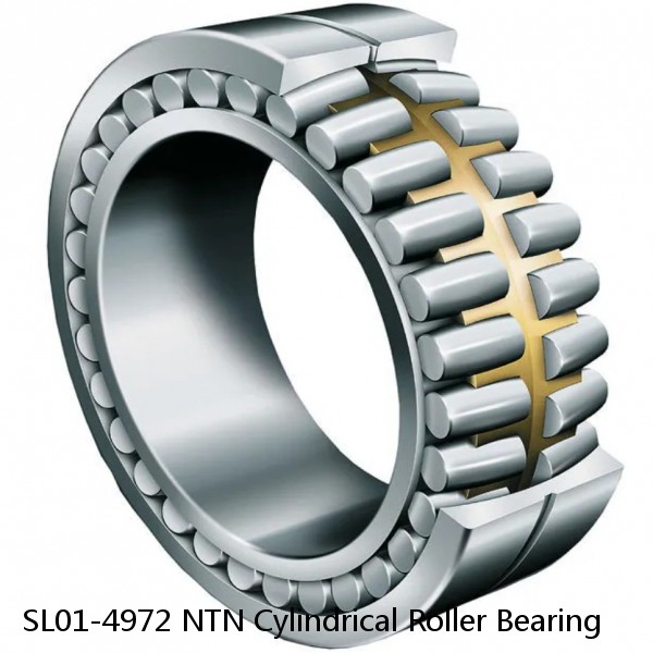 SL01-4972 NTN Cylindrical Roller Bearing