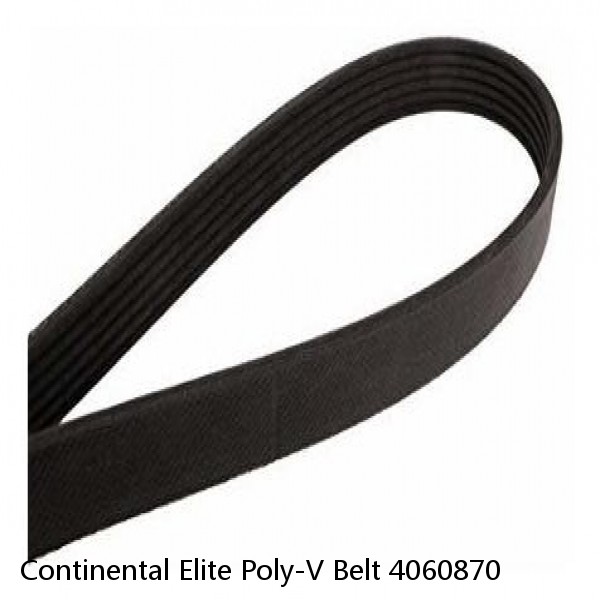 Continental Elite Poly-V Belt 4060870