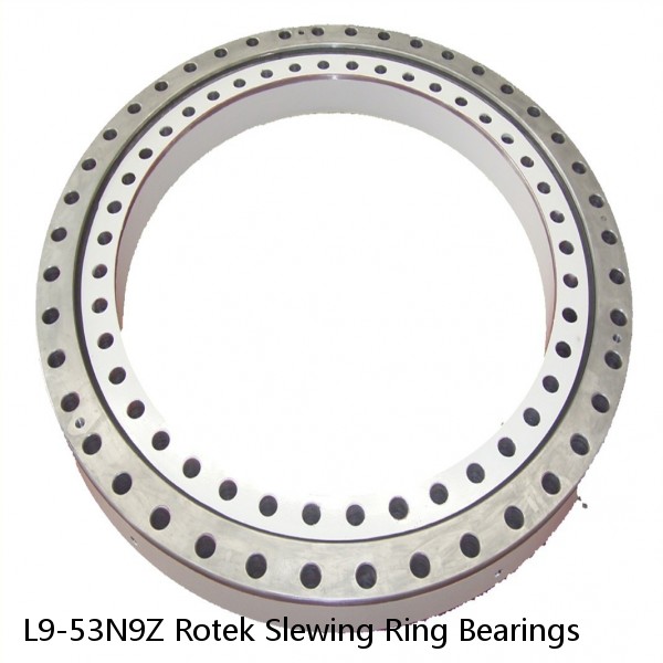 L9-53N9Z Rotek Slewing Ring Bearings