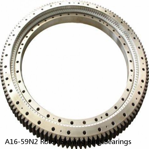 A16-59N2 Rotek Slewing Ring Bearings #1 small image