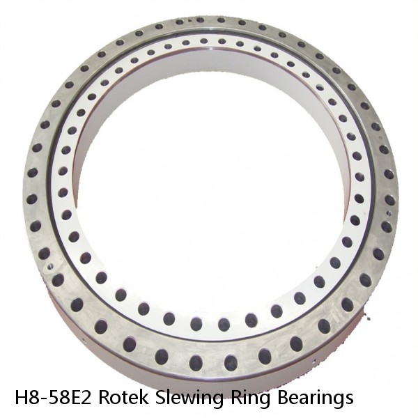 H8-58E2 Rotek Slewing Ring Bearings #1 small image