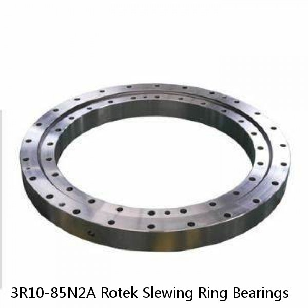 3R10-85N2A Rotek Slewing Ring Bearings