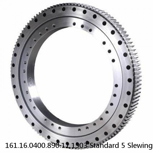 161.16.0400.890.11.1503 Standard 5 Slewing Ring Bearings #1 small image