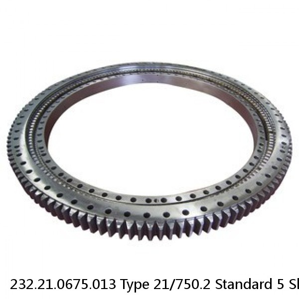 232.21.0675.013 Type 21/750.2 Standard 5 Slewing Ring Bearings #1 small image