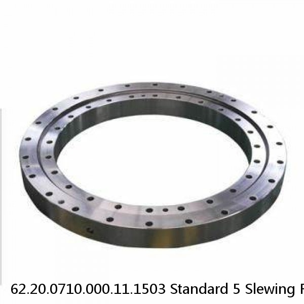 62.20.0710.000.11.1503 Standard 5 Slewing Ring Bearings #1 small image
