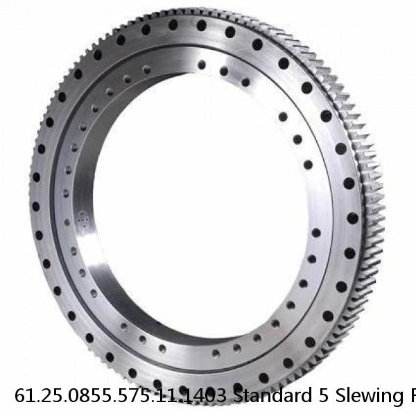 61.25.0855.575.11.1403 Standard 5 Slewing Ring Bearings #1 small image