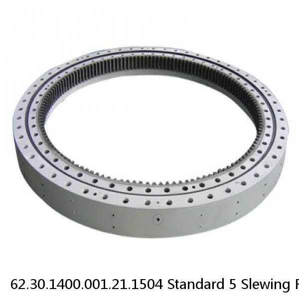 62.30.1400.001.21.1504 Standard 5 Slewing Ring Bearings #1 small image