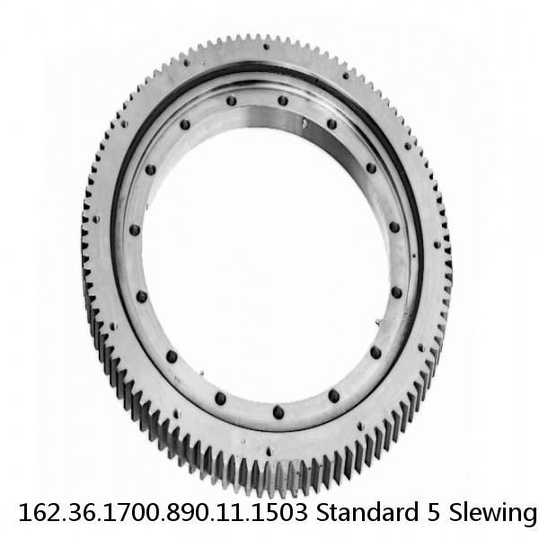 162.36.1700.890.11.1503 Standard 5 Slewing Ring Bearings #1 small image