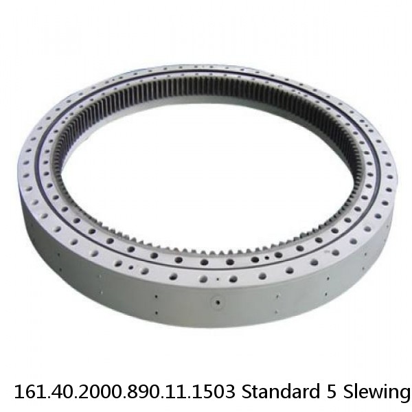 161.40.2000.890.11.1503 Standard 5 Slewing Ring Bearings #1 small image
