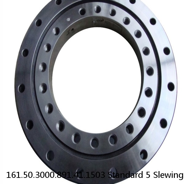 161.50.3000.891.41.1503 Standard 5 Slewing Ring Bearings #1 small image