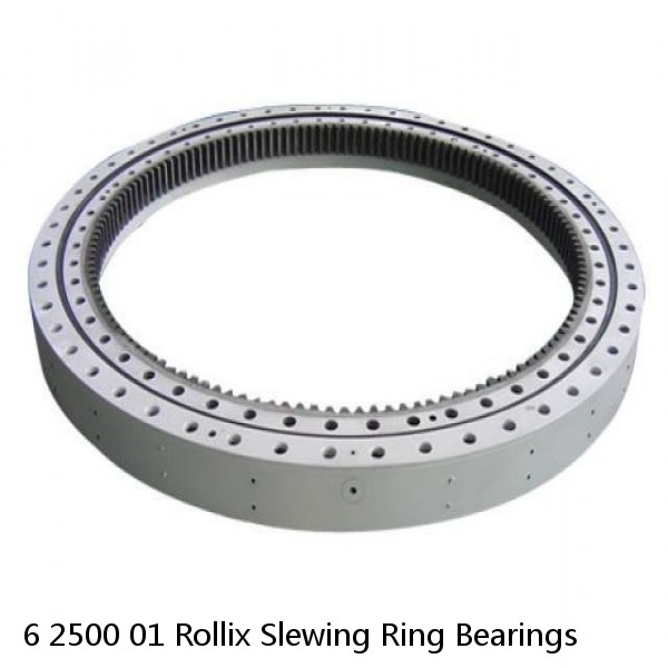 6 2500 01 Rollix Slewing Ring Bearings #1 small image