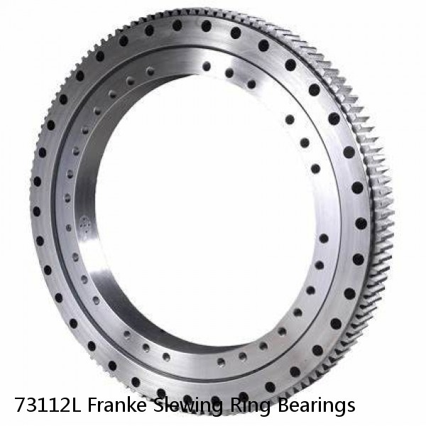 73112L Franke Slewing Ring Bearings #1 small image