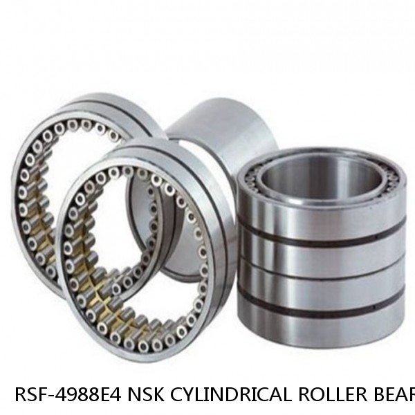 RSF-4988E4 NSK CYLINDRICAL ROLLER BEARING #1 small image