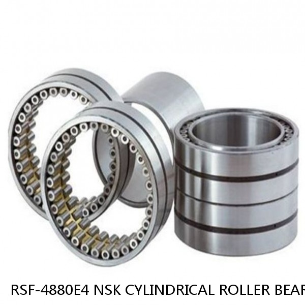 RSF-4880E4 NSK CYLINDRICAL ROLLER BEARING #1 small image