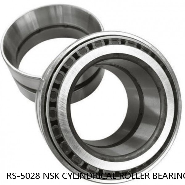 RS-5028 NSK CYLINDRICAL ROLLER BEARING #1 small image