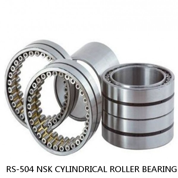 RS-504 NSK CYLINDRICAL ROLLER BEARING
