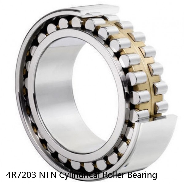 4R7203 NTN Cylindrical Roller Bearing