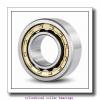 2.559 Inch | 65 Millimeter x 4.724 Inch | 120 Millimeter x 0.906 Inch | 23 Millimeter  LINK BELT MA1213EX  Cylindrical Roller Bearings #1 small image