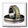 1.378 Inch | 35 Millimeter x 3.15 Inch | 80 Millimeter x 0.827 Inch | 21 Millimeter  LINK BELT MA1307TV  Cylindrical Roller Bearings #2 small image