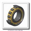 0.984 Inch | 25 Millimeter x 2.441 Inch | 62 Millimeter x 0.669 Inch | 17 Millimeter  LINK BELT MA1305EX  Cylindrical Roller Bearings #1 small image