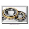 2.756 Inch | 70 Millimeter x 4.921 Inch | 125 Millimeter x 3.125 Inch | 79.375 Millimeter  LINK BELT MA6214TV  Cylindrical Roller Bearings #1 small image