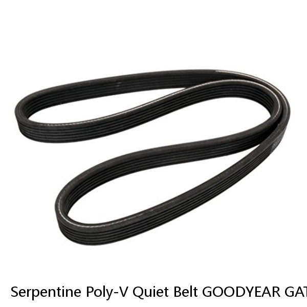 Serpentine Poly-V Quiet Belt GOODYEAR GATORBACK 4040560 