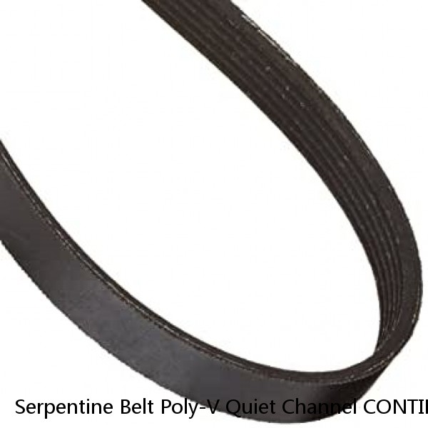 Serpentine Belt Poly-V Quiet Channel CONTINENTAL ELITE GATORBACK 4080925 BB
