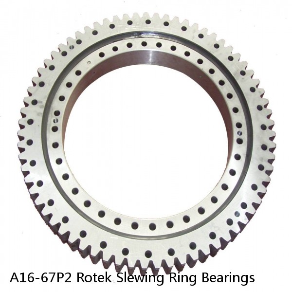 A16-67P2 Rotek Slewing Ring Bearings #1 image