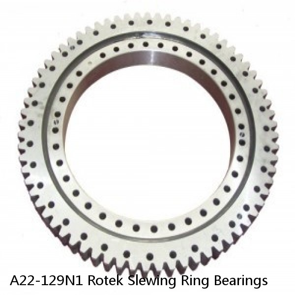 A22-129N1 Rotek Slewing Ring Bearings #1 image
