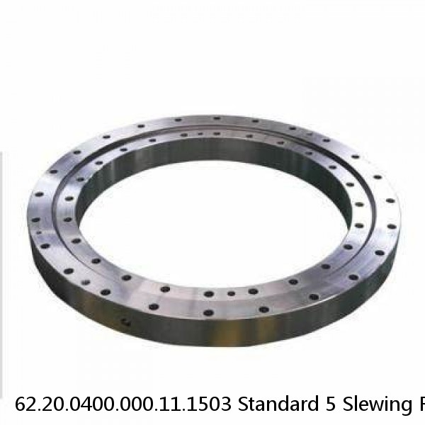 62.20.0400.000.11.1503 Standard 5 Slewing Ring Bearings #1 image