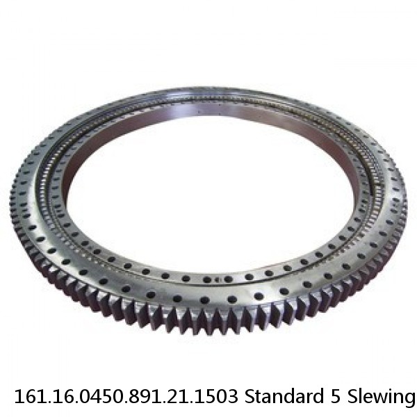 161.16.0450.891.21.1503 Standard 5 Slewing Ring Bearings #1 image
