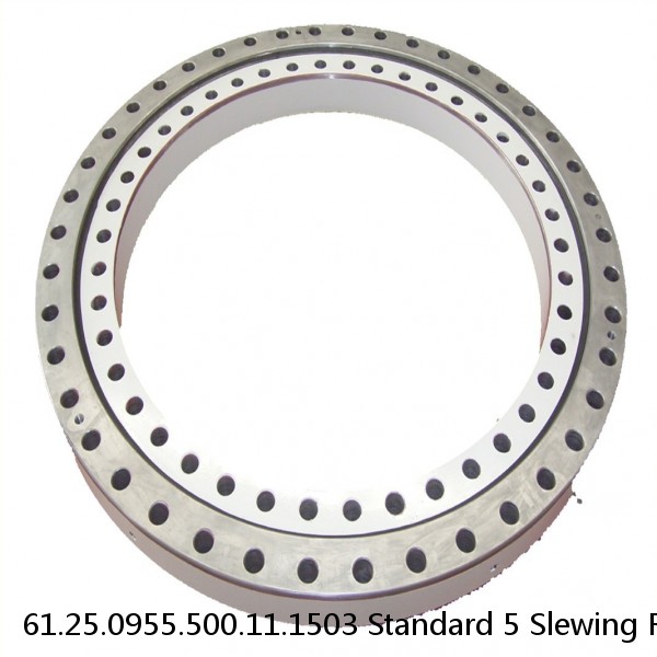 61.25.0955.500.11.1503 Standard 5 Slewing Ring Bearings #1 image