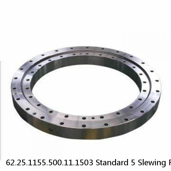 62.25.1155.500.11.1503 Standard 5 Slewing Ring Bearings #1 image