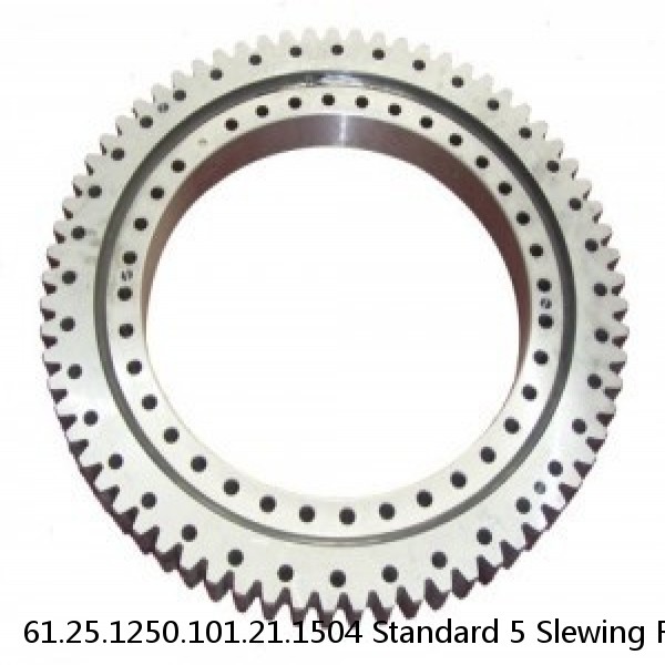 61.25.1250.101.21.1504 Standard 5 Slewing Ring Bearings #1 image