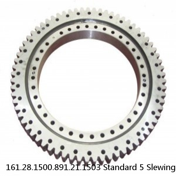 161.28.1500.891.21.1503 Standard 5 Slewing Ring Bearings #1 image