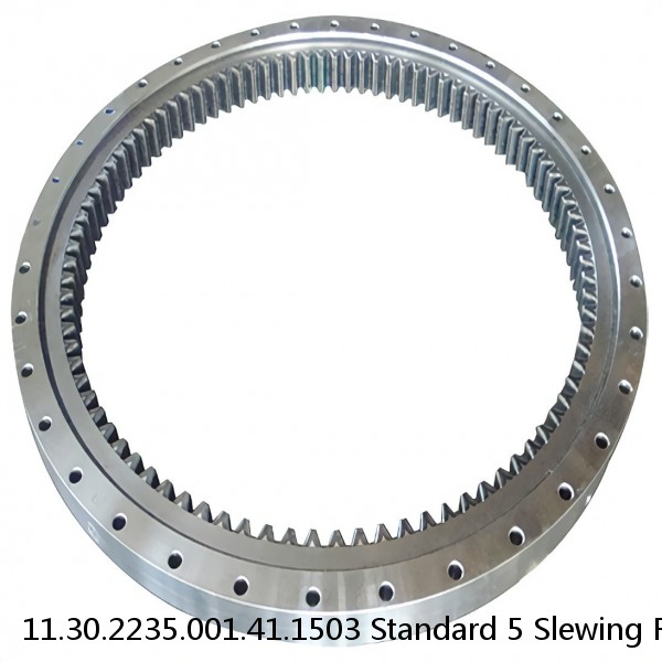 11.30.2235.001.41.1503 Standard 5 Slewing Ring Bearings #1 image
