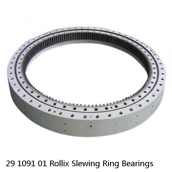 29 1091 01 Rollix Slewing Ring Bearings #1 image