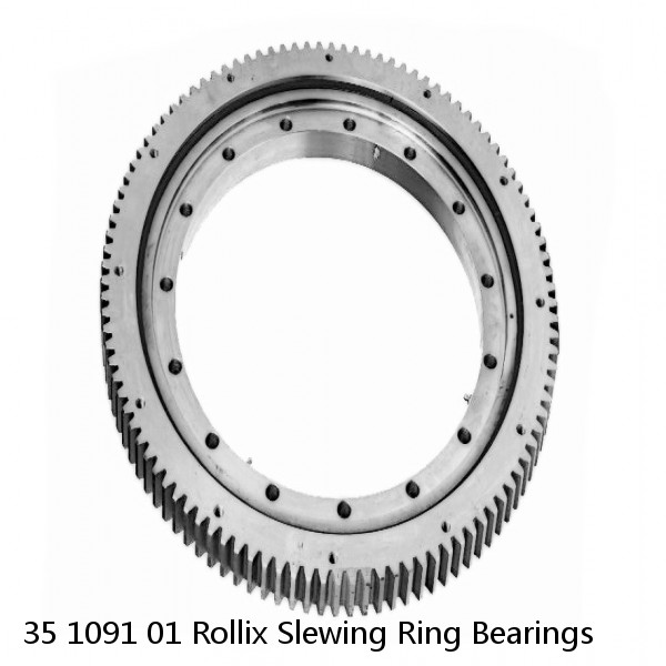 35 1091 01 Rollix Slewing Ring Bearings #1 image