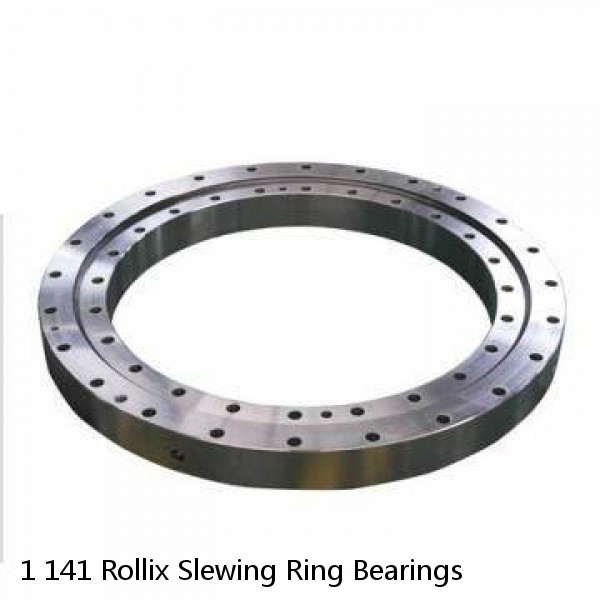 1 141 Rollix Slewing Ring Bearings #1 image