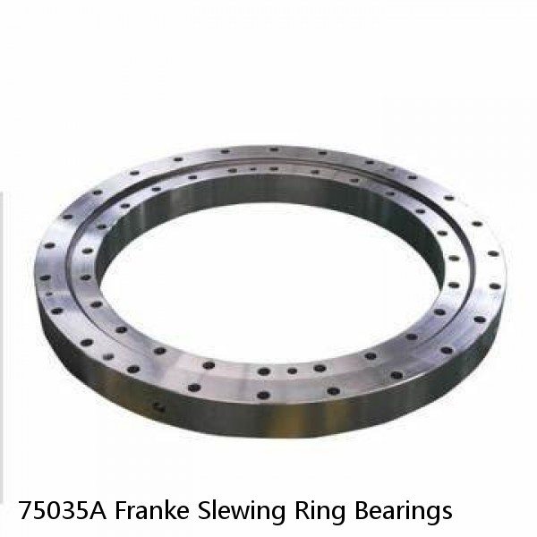 75035A Franke Slewing Ring Bearings #1 image