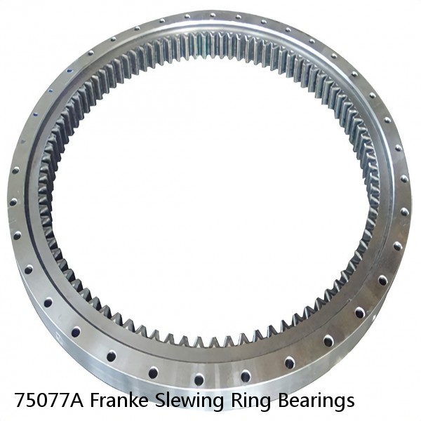 75077A Franke Slewing Ring Bearings #1 image