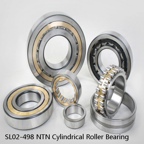SL02-498 NTN Cylindrical Roller Bearing #1 image