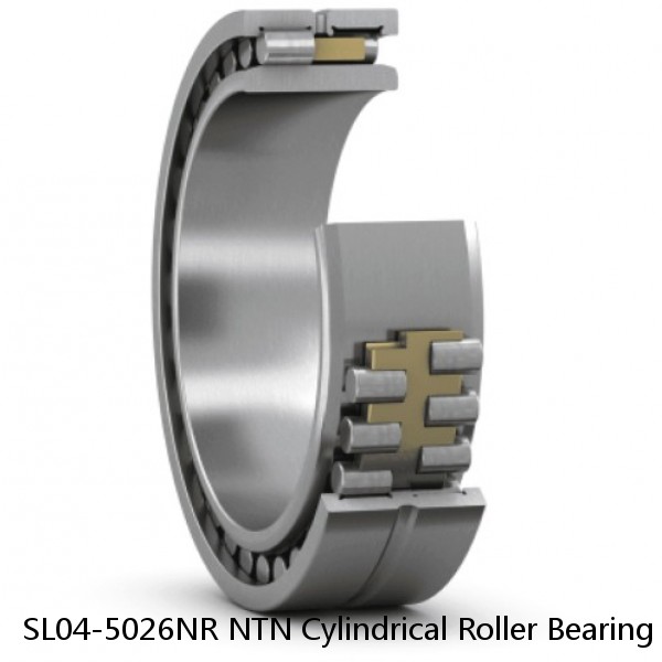 SL04-5026NR NTN Cylindrical Roller Bearing #1 image