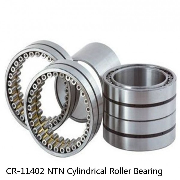 CR-11402 NTN Cylindrical Roller Bearing #1 image