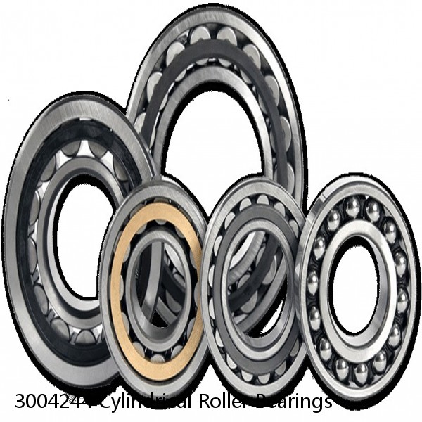 3004244 Cylindrical Roller Bearings #1 image