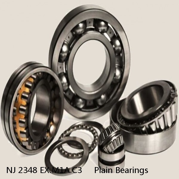 NJ 2348 EX.M1A.C3     Plain Bearings #1 image