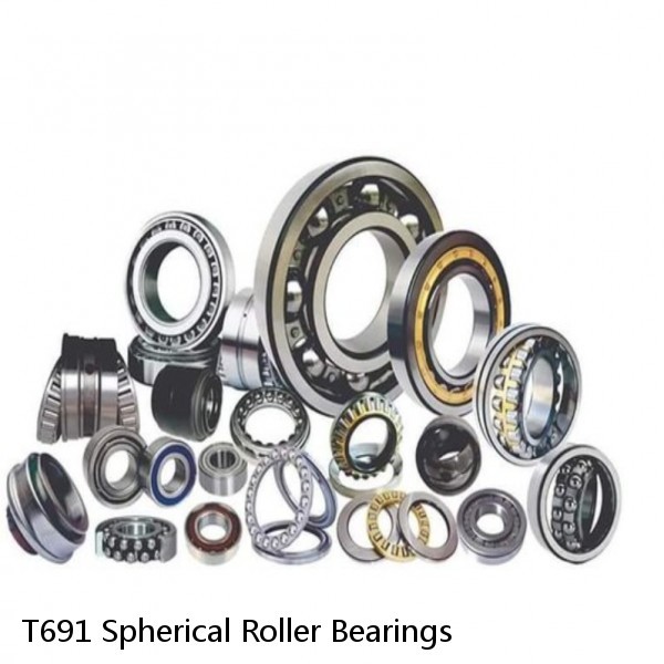 T691 Spherical Roller Bearings #1 image